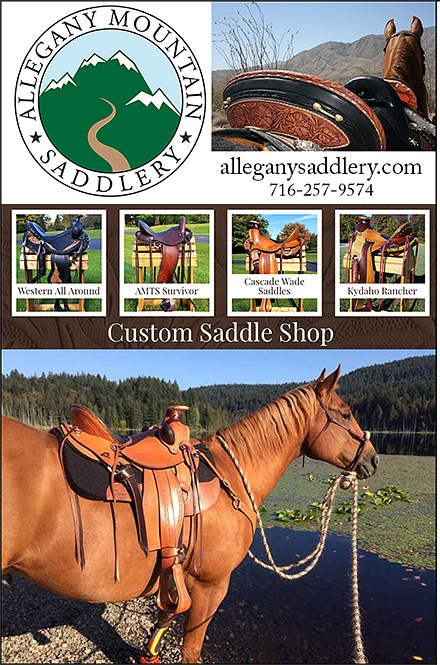Custom Saddle Shop Allegany Mountain Saddlery