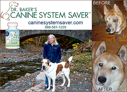 Dr. Baker's System Saver for Dogs!