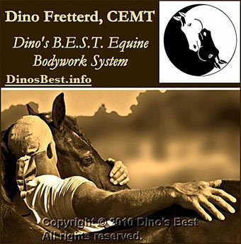Dino Fretterd,  Visit DinosBest.info
