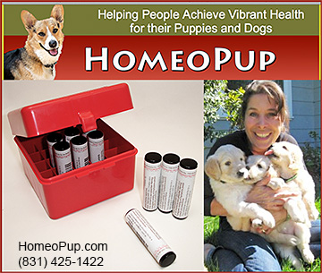 Homeopathic Products for Dogs
