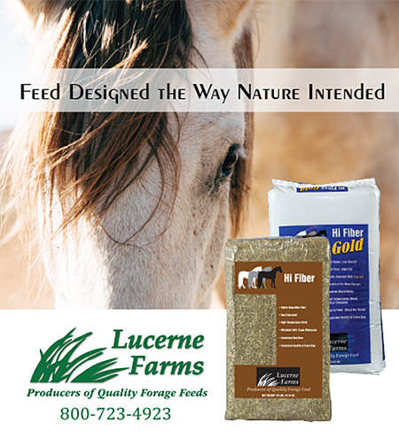 Lucerne Farms Producers of Quality Forage Feed for Horses.