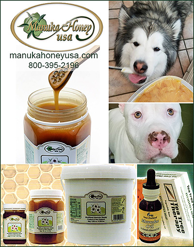 Dog Honey Health Supplements from Manukka Honey USA