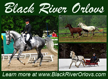 Black River Orlovs