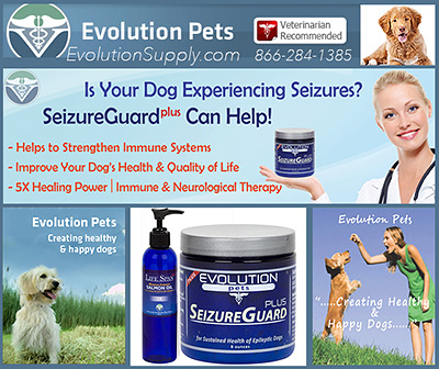 Dog Seizure Supplements