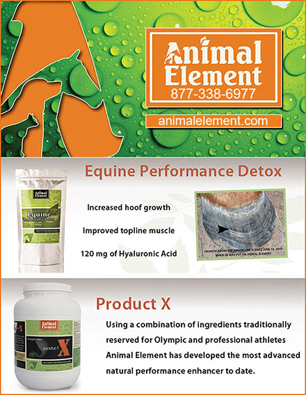 Animal Element Horse Supplements