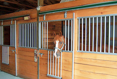 Stall openings for Socialization