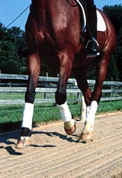 Arena Footing for riding your horse