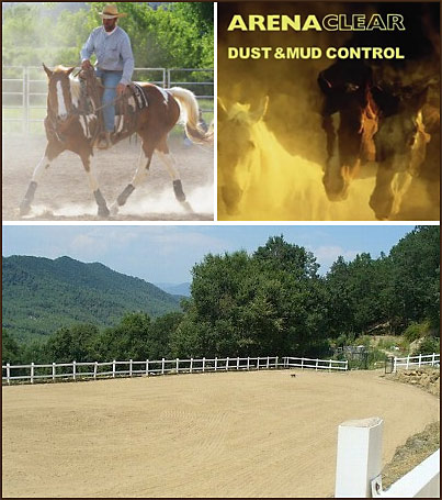 Controlling horse Arena Dust