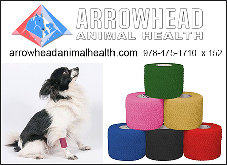 Arrowhead Animal Health Dog Bandages