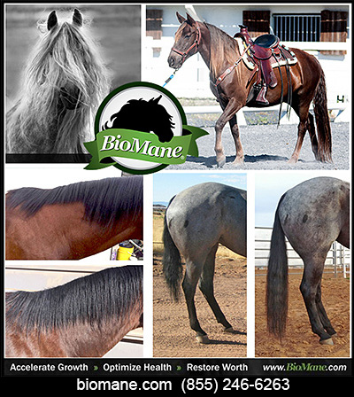 BioMane Mane and Tail Growth Supplements