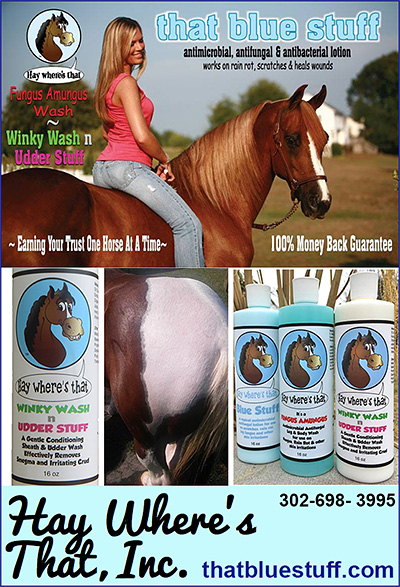 Horse Sheath and Udder Care Lotion that blue stuff.