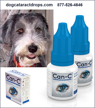 Can-C Dog Eye Health Product