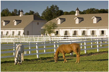 Horse Stable Design