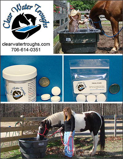 Clear Water Troughs Clean Water for Horses