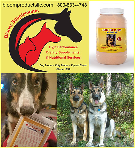 Bloom Health Supplements for Dogs