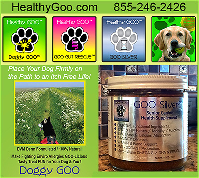 Doggy Goo Dog health Supplement
