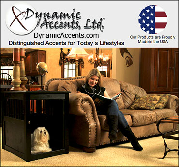 Dynamic Accents Furniture for Dogs