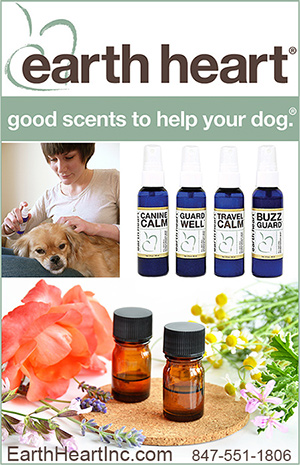 Aromatherapy for dogs