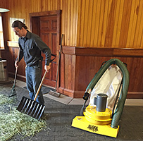 Cleaning the Barn for Horse Health