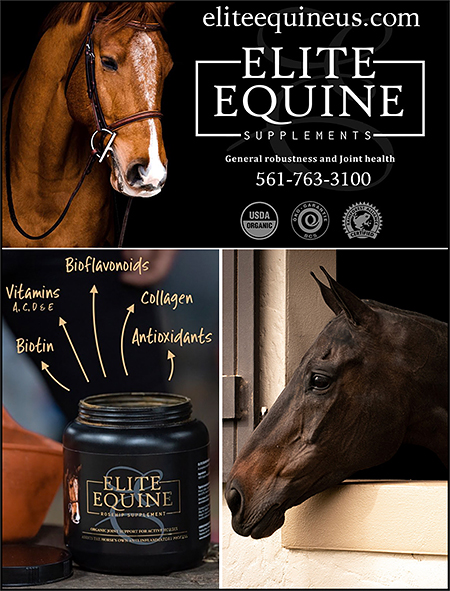 Horse Health Supplements by Elite Equine