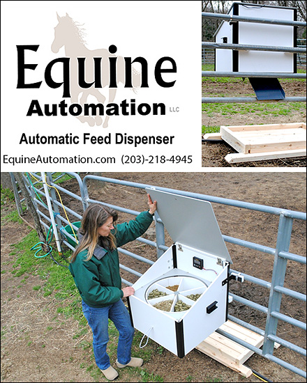 diy timed horse feeder