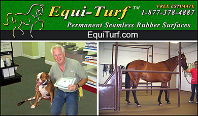 Equi-Turf Flooring for Veterinarians