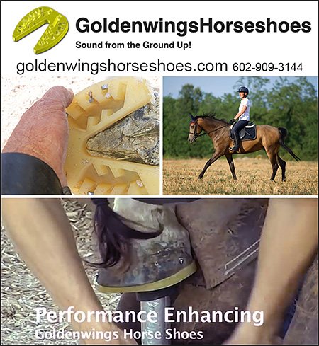 GoldenWings Synthetic Horse Shoes 