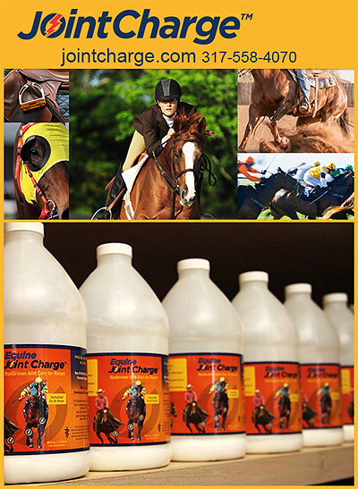 JointCharge Equine Joint Supplement