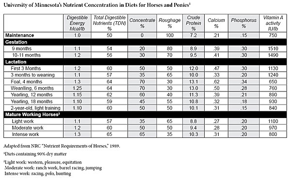 Nutrient Concentration for Horse Diets