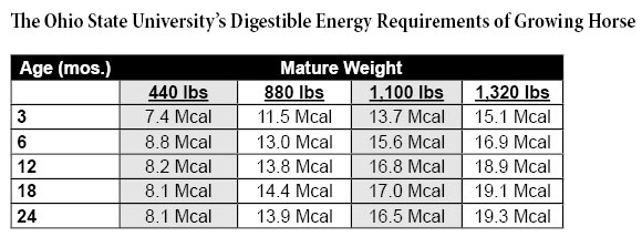 Digestable Energy Requirements of Growing Horses