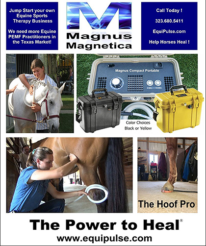 Pulsed Magnetic Therapy for Horses