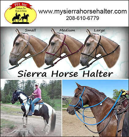 Sierra Horse Halter