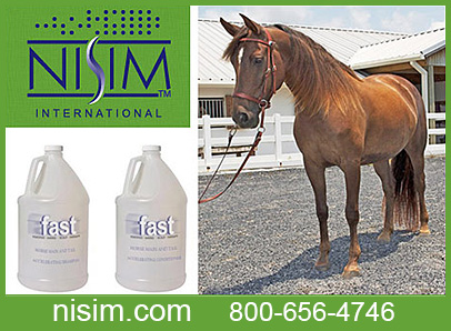 NISIM International Horse Mane and Tail Growth