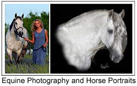 Equine Photographers and Horse Portrait Artists.