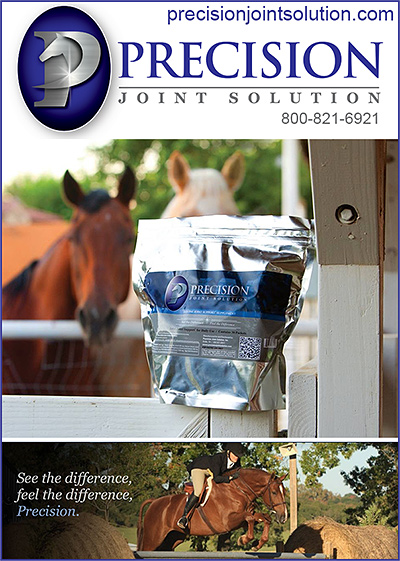 Precision Horse Joint Solution