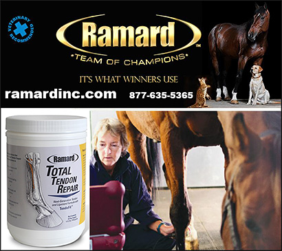 Ramard Equine Health Supplements