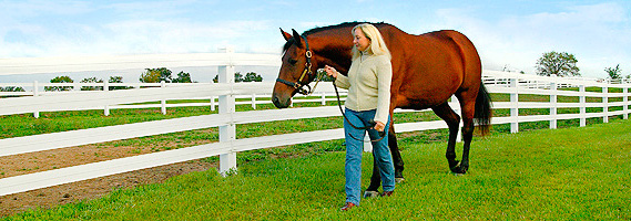 Plan your equine fencing now!