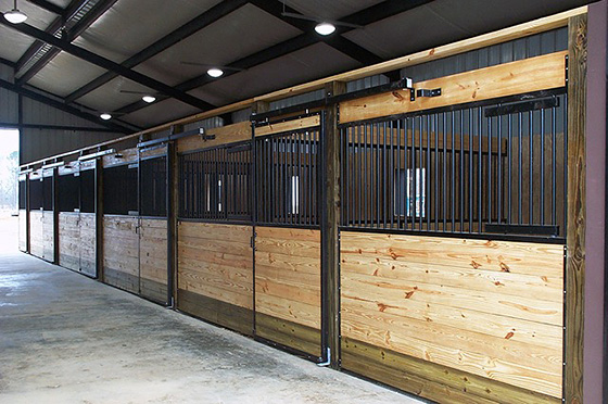 Provide plenty of ventilation  for health horses.