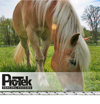 Pro-Tek Electric Horse Fencing Systems