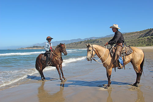 Backing into the surf was a good starting point for some horses.