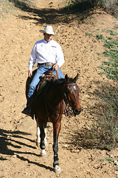 Trail - The trail is a great place to help this mare be aware of her feet.