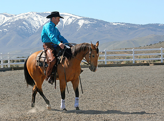 First teach your horse to yield the hindquarters while standing still.
