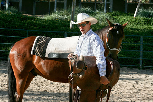 This is a great way to carry your saddle in preparation for saddling.