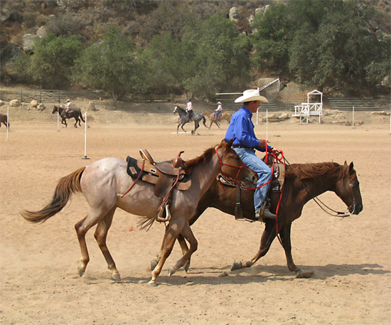 Ponying another horse is a skill that every horseman should be comfortable with.