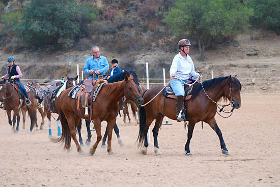 Students practice ponying a horse for the first time.