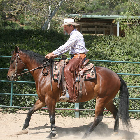 Correct; Backing up with short reins