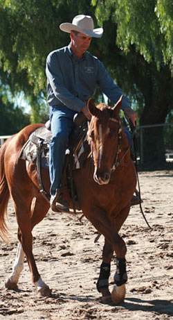 Shoulders to the Left: I keep my colt counder bent to the right as he steps his shoulders over to the left. 