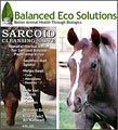 Horse Sarcoid Treatment