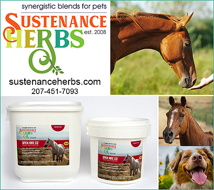 herbal health for horses
