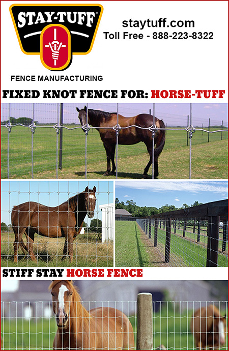 Wire Fence for Horses 